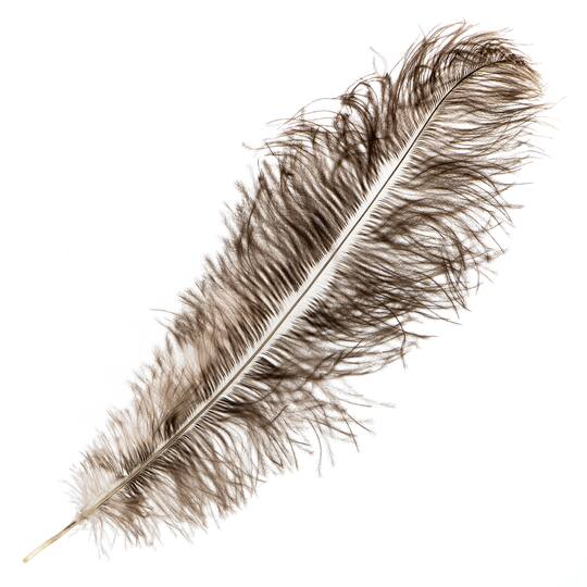 John Bead 11"-13" Ostrich Drab Feather